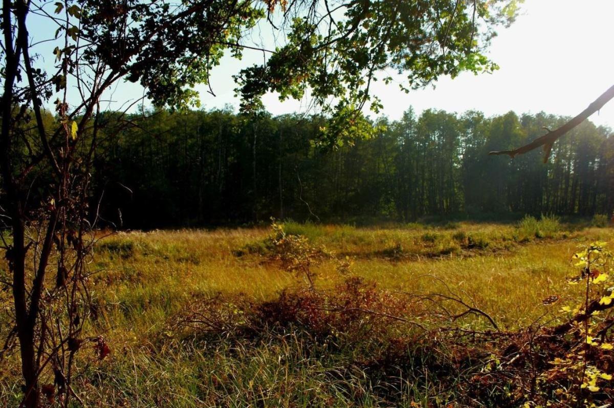  Night walk in the Tegeler Fließ 